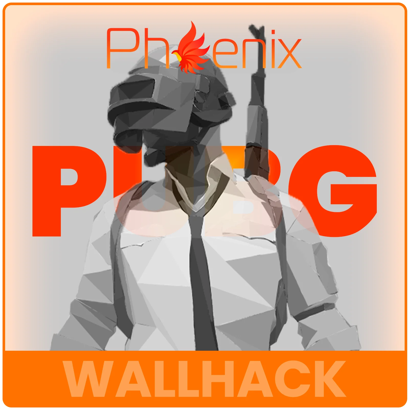 Wallhack for PUBG